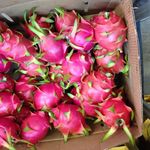 Catherine Monk - @monk8764 - Instagram