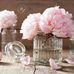 Catherine Morel - Facebook