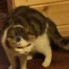 catherine_Morel - @catherine_morel - TikTok