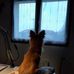 Catherine Morel - Facebook