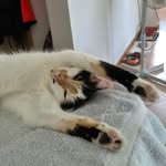 Catherine Mueller - @catherinemuller8761 - Instagram
