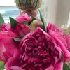 catherinemueller31 - @cdm393 - TikTok