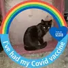 Catherine Muldoon - @catherine.muldoon - TikTok