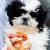 Catherine Natale - Facebook