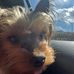 Catherine Negron - Facebook