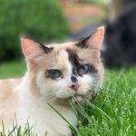 Missy Catherine Neilson - @missy_the_amazing - Instagram