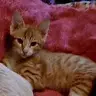 Catherine Newman - @user927005516 - TikTok