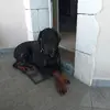 Catherine Nicolas - @catherine.nicolas32 - TikTok
