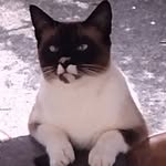 Catherine Nicolas - @catherinenicolas2007 - Instagram