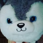 Catherine O'Dell - @kiwigirl.wolf - Instagram