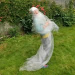 Catherine Orr - @catherine.orr.444 - Instagram