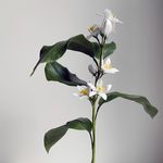 Catherine Oxley - @catherineoxleyfineart - Instagram