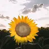 catherineparrish78 - @cathp61 - TikTok