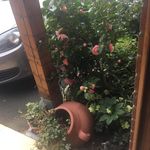 Catherine Parry - @catherineparry9 - Instagram