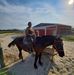 Catherine Pate - Facebook