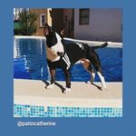 Catherine Patin - @patincatherine - Instagram