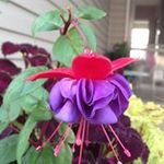 Catherine M Penner - @c_countrygirl - Instagram