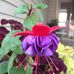 Catherine M Penner - Facebook