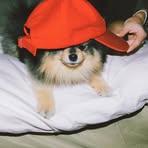 Catherine Pham - Facebook