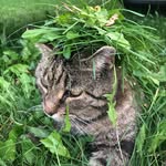 Catherine Pike - @catherine.pike.96 - Instagram