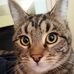 Catherine Pike - Facebook
