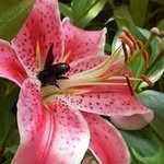 Catherine Porée - @poree1961 - Instagram