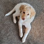 Catherine Porter - @catherineporter1959 - Instagram