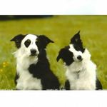Catherine Porter - @catporter001 - Instagram