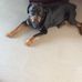 Catherine Robidoux - Facebook