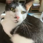 Catherine Ramsden - @catherine.ramsden.99 - Instagram