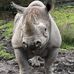Catherine Ramsden - Facebook