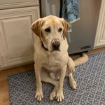 Catherine Reilly - @crreilly - Instagram