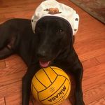 Catherine Reilly - @catherinereilly2017 - Instagram