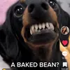 Catherine.Reilly - @reichoab104 - TikTok