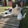 catherine-rivet - @colleen.gym15 - TikTok