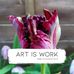Catherine Saunders - Facebook