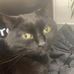 Catherine Saunders - Facebook