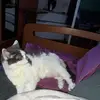 Catherine Schweitzer - @catherine.schweit - TikTok