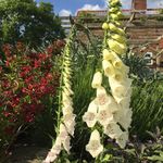 Catherine scriven - @scriven.catherine - Instagram
