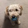Catherine Seal - @catherine.seal - TikTok