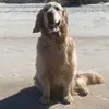 catherineseals779 - @mysweetbrook - TikTok