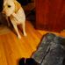 Catherine Seger - Facebook
