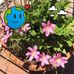 Catherine Seger - Facebook