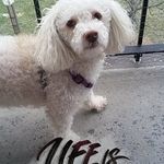 Catherine Sennett - @catwilson1959 - Instagram