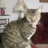 catherineshaw349 - @catherineshaw349 - TikTok