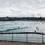 Catherine Sheldon - @cs_sellingstuff - Instagram