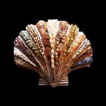 Katherine Lloyd - Shell & Grotto Artist - @katherineshells - Instagram