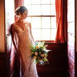 Catherine Sherman - @cannelamour - Instagram