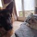 Catherine Shipman - Facebook
