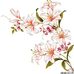 Catherine  Shoffner - Facebook